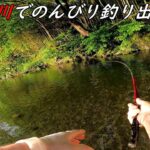 田舎の川でのんびり釣りできない！！！！！！
