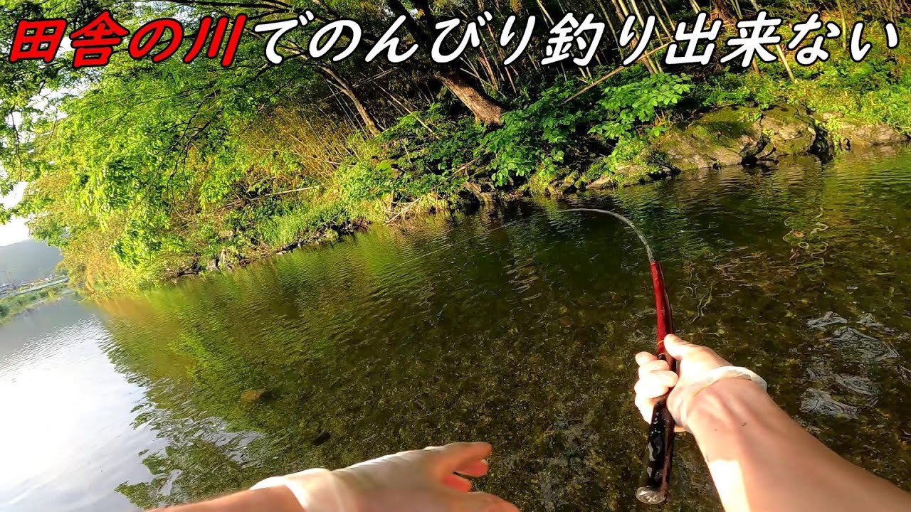 田舎の川でのんびり釣りできない!!!!!!