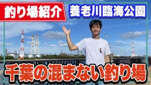 【養老川臨海公園】千葉県のマゴチやシーバスが狙える釣りスポット!休日でも釣り人が少ない