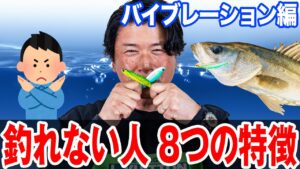 【釣れない人の特徴】バイブレーション編:シーバスが釣れないのには理由がある!オヌマンのシーバス塾