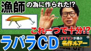 【ラパラ/カウントダウン】シーバス釣りにはこのルアー!オヌマンが選ぶ名作ルアー!オヌマンのシーバス塾