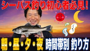 【朝・昼・夕・夜】時間帯別 シーバスの釣り方!時間帯別の戦略で攻略!オヌマンのシーバス塾