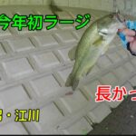 【印旛沼・江川】ようやく来た今年初ラージ！！ゲジーノーシンカーで！