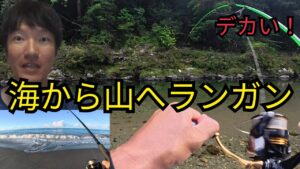 超朝一遠州灘サーフ〜山へ釣りに行ったら…