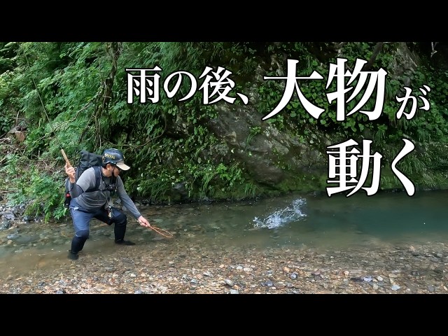 【魚の荒食い】大雨の後に渓流釣りで起きること