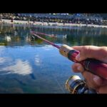 管理釣り場初心者でも超簡単に爆釣できるルアーはこれ！【エリアトラウト】【川場フィッシングプラザ】