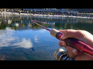 管理釣り場初心者でも超簡単に爆釣できるルアーはこれ!【エリアトラウト】【川場フィッシングプラザ】