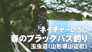 春のブラックバス釣り~玉虫沼(山形県山辺町)