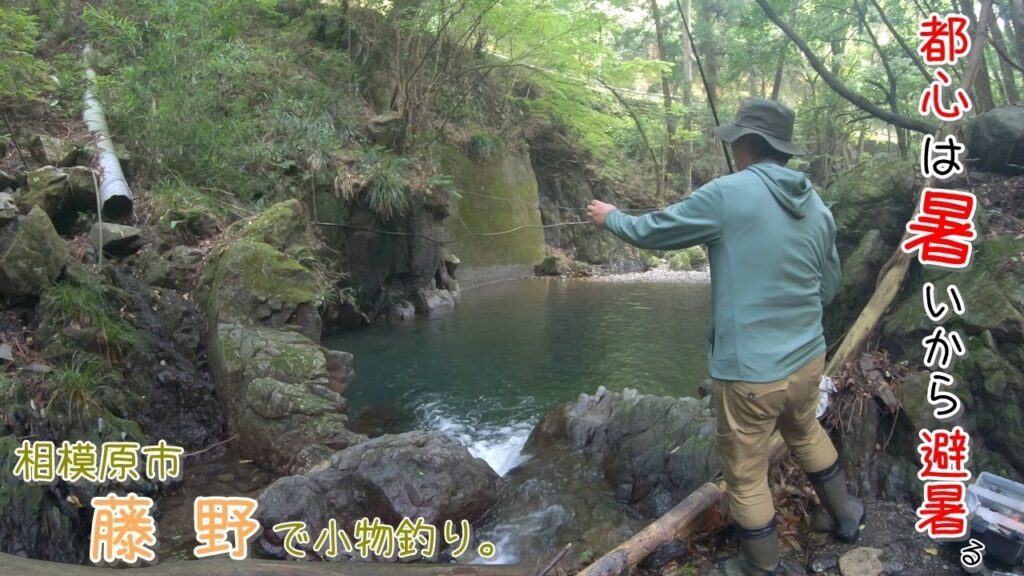 またまた夏に良い場所見つけました♪  久しぶりにデカ〇〇釣れたー♪  相模原市 藤野で小物釣り。