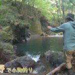 またまた夏に良い場所見つけました♪  久しぶりにデカ〇〇釣れたー♪  相模原市 藤野で小物釣り。