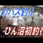 初釣行！埼玉県びん沼でバス釣り！！