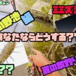 【野池釣り方】埼玉 びん沼からの野池編❗️✨夏の野池で数釣り大満喫❣️