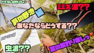 【野池釣り方】埼玉 びん沼からの野池編❗️✨夏の野池で数釣り大満喫❣️