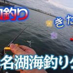 【浜名湖】タコ釣り行ってきました【新居弁天海釣公園】