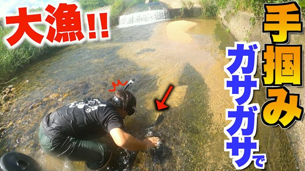 自宅に作った川に入れる魚をガサガサで捕まえようとしてみたら・・・！？