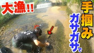 自宅に作った川に入れる魚をガサガサで捕まえようとしてみたら・・・！？