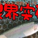 人間の限界突破　(管理釣り場、エリアトラウト初心者)