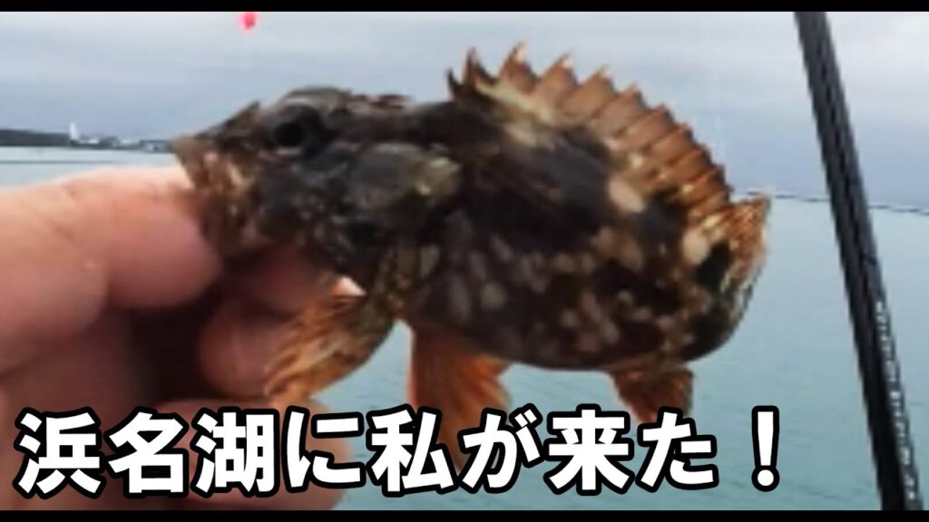 【海釣り】浜名湖デビュー【ファミリーフィッシング】