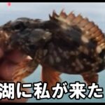 【海釣り】浜名湖デビュー【ファミリーフィッシング】