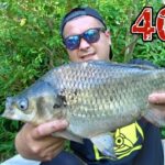 大型ヘラブナが釣れると有名な河川でカッツケヒゲトロセットで釣る【花見川 印旛沼】