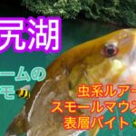【野尻湖】毎年恒例のスモール遠征！虫系ルアーにスモールマウスバスが表層バイト☆