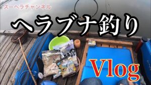 【仕掛けを紹介し、ゆるくヘラブナ釣り】 近藤沼 釣り