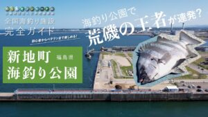 釣り場の実力検証！海釣り公園でイシダイが連発？【福島・新地町海釣り公園】