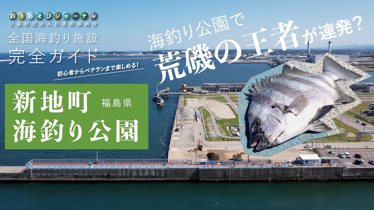 釣り場の実力検証!海釣り公園でイシダイが連発?【福島・新地町海釣り公園】