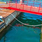 男はこの場所で、モンスターを釣り上げます。