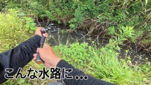 初心者でも簡単にデカバスを釣る方法はこれしかありません！