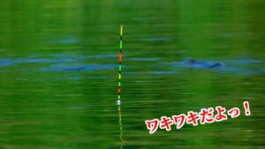 【九頭竜沼】ヒゲトロセットで挑むへらぶな釣り！