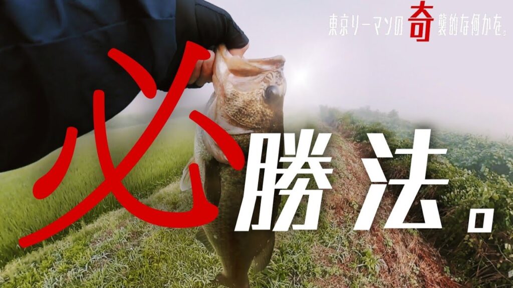 【印旛沼/バス釣り】奈落の印旛沼水系をどうにかしたい！