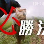 【印旛沼/バス釣り】奈落の印旛沼水系をどうにかしたい！