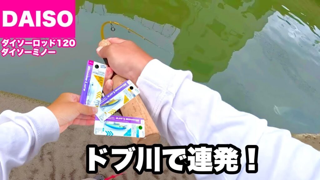 ダイソーミノー持ってドブ川へ釣りに行ったらめっちゃ食って来た！