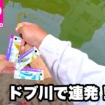 ダイソーミノー持ってドブ川へ釣りに行ったらめっちゃ食って来た！