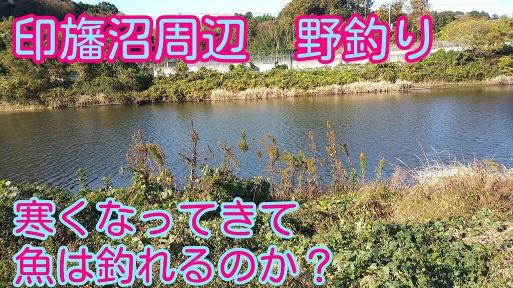 へら鮒　印旛沼周辺で野釣り　さて、へら鮒は釣れるのか？