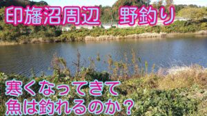 へら鮒　印旛沼周辺で野釣り　さて、へら鮒は釣れるのか？