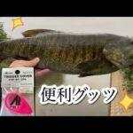 ５０アップキタ～ 小貝川 バス釣り スモールマウス