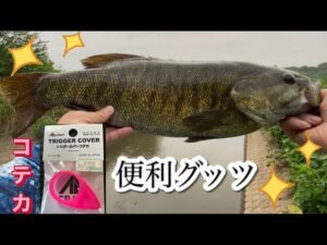 ５０アップキタ～ 小貝川 バス釣り スモールマウス