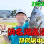 【静岡県浜名湖】で釣り。ただいま浜名湖高活性！