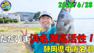 【静岡県浜名湖】で釣り。ただいま浜名湖高活性！