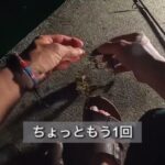 [岩手県 海釣り]せっかく鮎釣り解禁したのに、海釣りしに来た! 海大好きな限界集落民の男