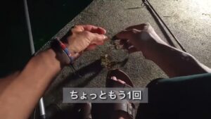 [岩手県 海釣り]せっかく鮎釣り解禁したのに、海釣りしに来た! 海大好きな限界集落民の男