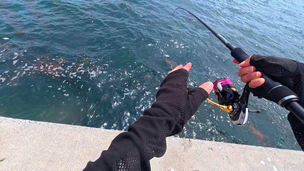梅雨の真っ只中、宮城県の荒れる堤防で釣りしたらバコバコ魚が釣れた