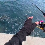 梅雨の真っ只中、宮城県の荒れる堤防で釣りしたらバコバコ魚が釣れた