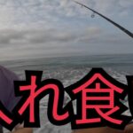 朝一遠州灘サーフで釣りして帰りに寄り道して釣りしてみた