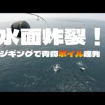 浜名湖沖が沸いた！船釣り中ナブラに突入してみた結果…