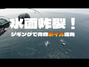 浜名湖沖が沸いた！船釣り中ナブラに突入してみた結果…