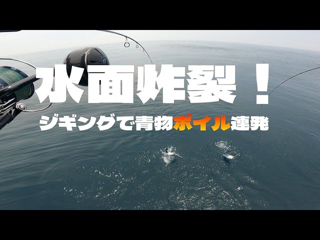 浜名湖沖が沸いた！船釣り中ナブラに突入してみた結果…