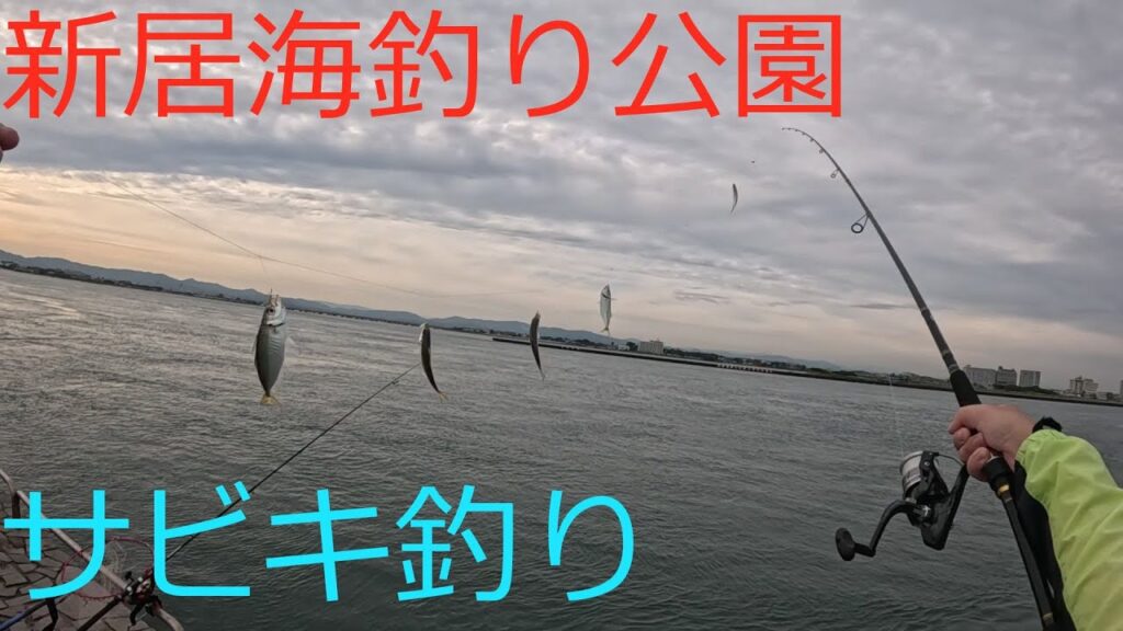 【浜名湖】夕マズメにママカリサビキ！アジの群れを狙う！